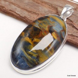 Flamboyant pendentif argent et Pietersite 