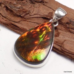 Pendentif en Ammolite du Canada Pendentifs pierres naturelles KC60