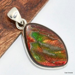 Pendentif en Ammolite du Canada forme libre Pendentifs pierres naturelles KC60.1