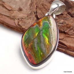 Pendentif en Ammolite du Canada forme libre Pendentifs pierres naturelles KC60.1