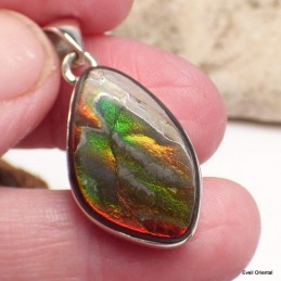 Pendentif en Ammolite du Canada forme libre Pendentifs pierres naturelles KC60.1