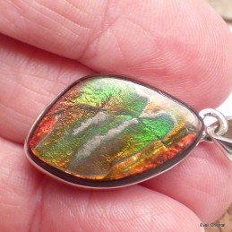 Pendentif en Ammolite du Canada forme libre Pendentifs pierres naturelles KC60.1