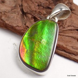 Pendentif en Ammolite verte du Canada Pendentifs pierres naturelles KC60.2