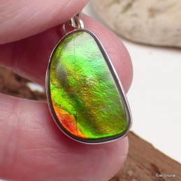 Pendentif en Ammolite verte du Canada Pendentifs pierres naturelles KC60.2