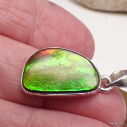 Pendentif en Ammolite verte du Canada Pendentifs pierres naturelles KC60.2