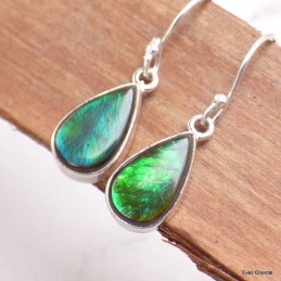 Boucles d'oreilles Ammolite verte grade AAA 