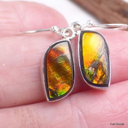 Boucles d'oreilles Ammolite orange grade AAA 