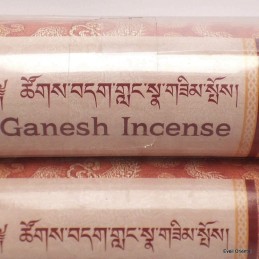 Encens Ganesh paquet rigide 