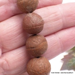 Bracelet tibétain grosses Graines de Bodhi Bracelets tibétains bouddhistes BM15.1