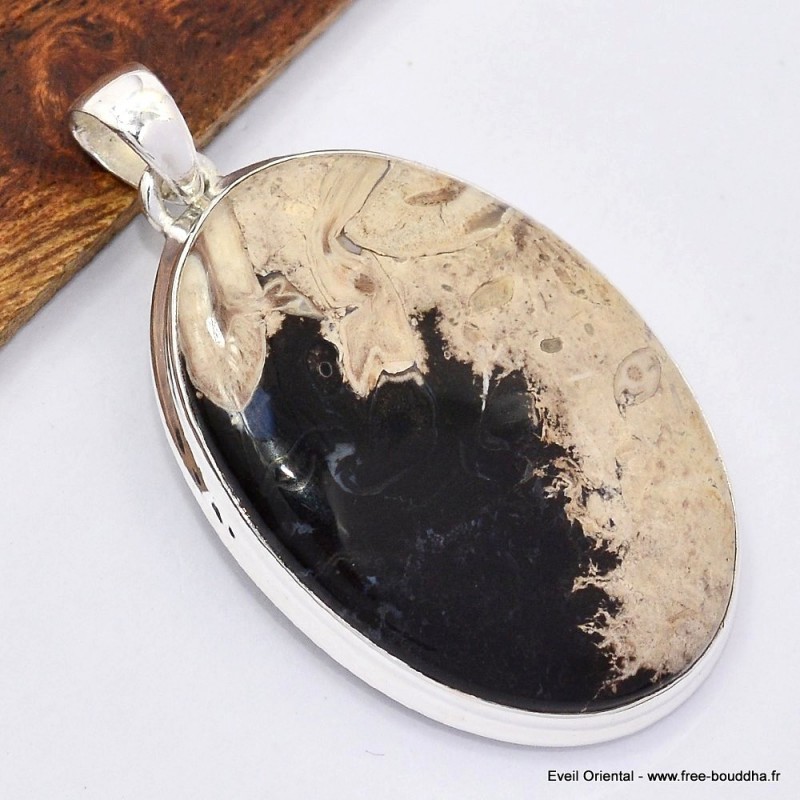 Gros pendentif en bois fossilisé 