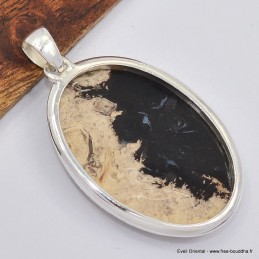 Gros pendentif en bois fossilisé 