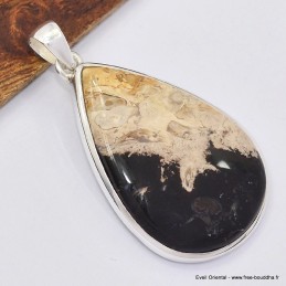 Gros pendentif goutte en bois pétrifié 