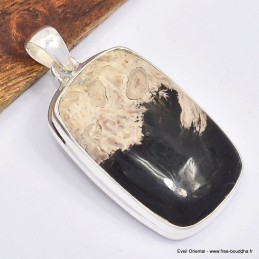 Gros pendentif rectangulaire en bois pétrifié 