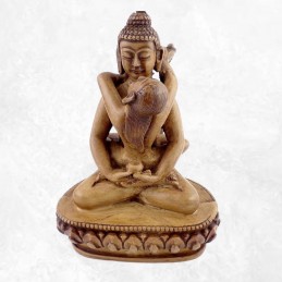 Statue Bouddha Shakti 20 cm Statuettes Bouddhistes SHAKTI21